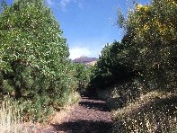hiena dell Asino20100912 032